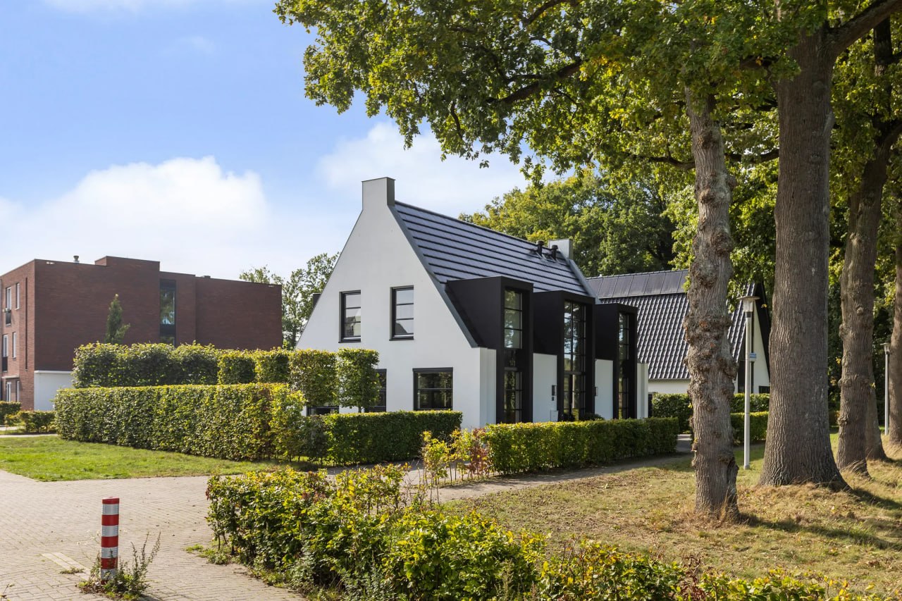 Modern detached house surrounded by greenery